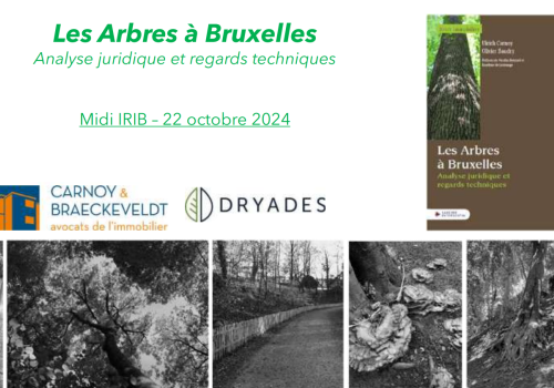 Les Arbres à Bruxelles Analyse juridique et regards techniques