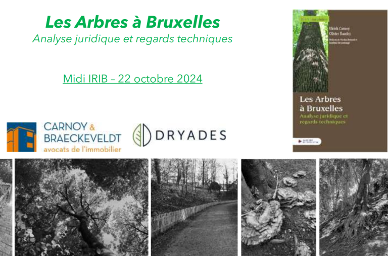 Les Arbres à Bruxelles Analyse juridique et regards techniques